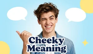 cheeky meaning
