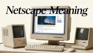 netscape meaning
