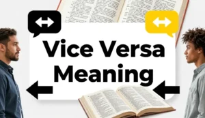 vice versa meaning