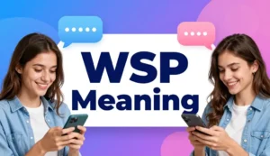 wsp meaning