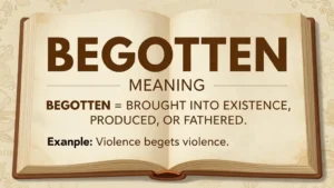 begotten meaning